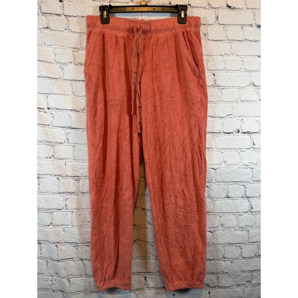 Aerie Cozy Coral Plush Pajama‎ Pants Womens Medium Lounge Sleep Bottoms